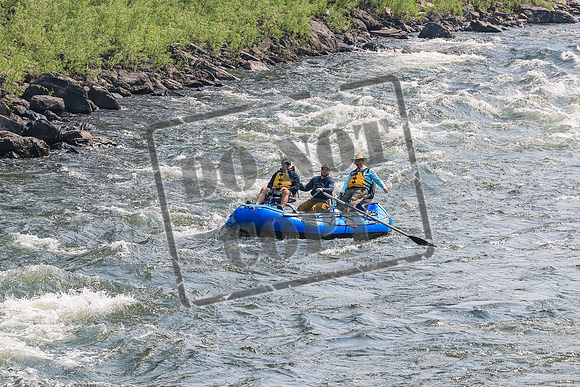 20260727-IMG_4333