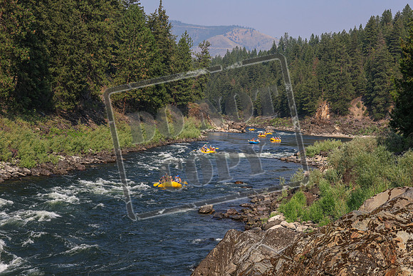 20260728-IMG_8145