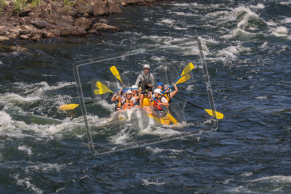 20260728-IMG_8217