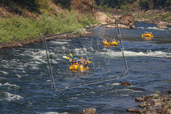 20260728-IMG_8250