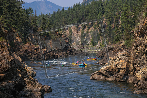 20260728-IMG_6484