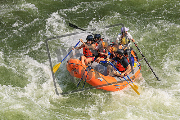 20260728-IMG_6743