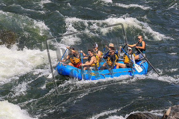 20260728-IMG_7625
