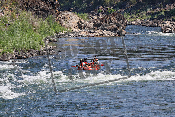 20260730-IMG_0357