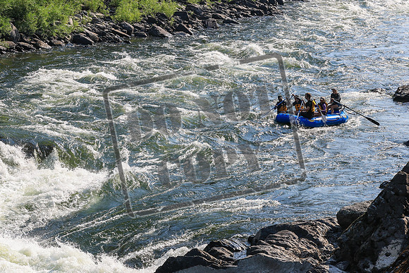 20260731-IMG_1015