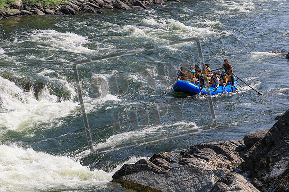 20260731-IMG_1787