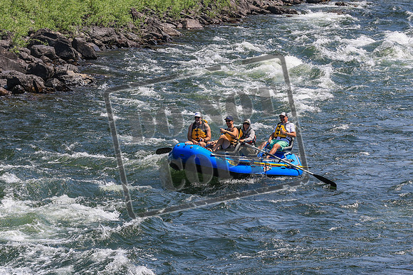 20260731-IMG_2059
