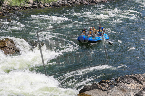 20260731-IMG_2122