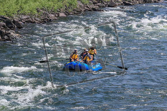 20260731-IMG_2146