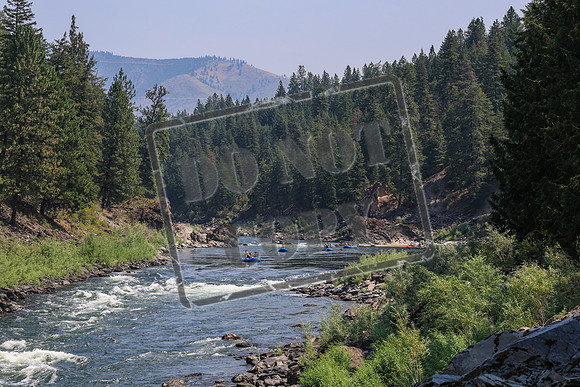 20260731-IMG_2039