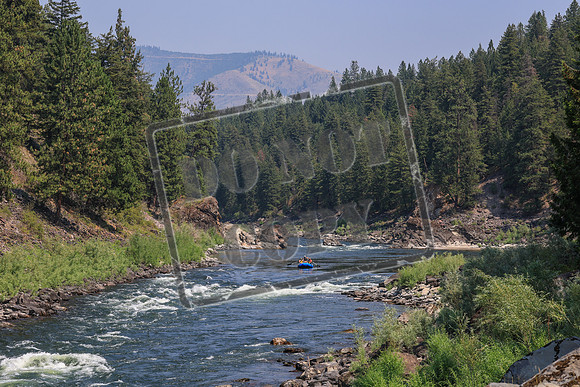 20260731-IMG_3128