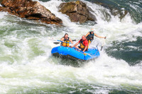 20260731-IMG_3142