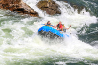 20260731-IMG_3141