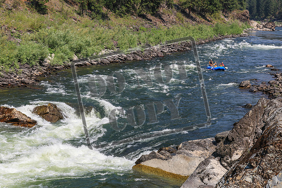 20260731-IMG_3133