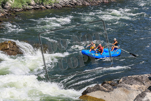 20260731-IMG_3135
