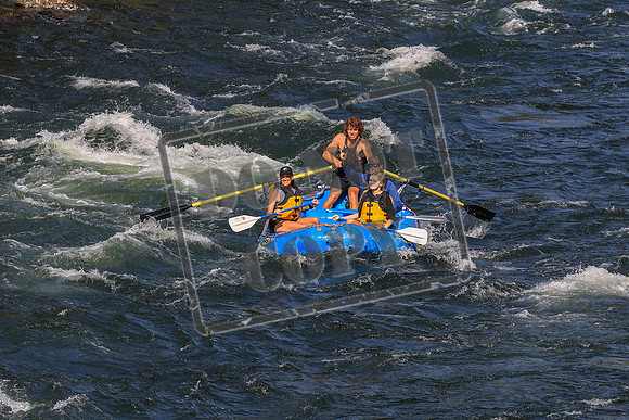 20260731-IMG_4592