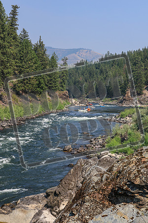 20260731-IMG_3777