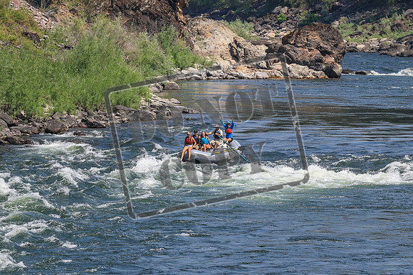 20260731-IMG_3006