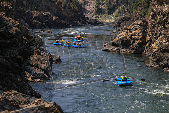 20260731-IMG_2264