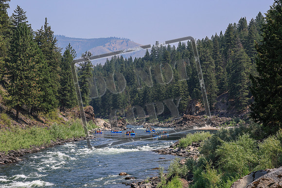 20260731-IMG_2656
