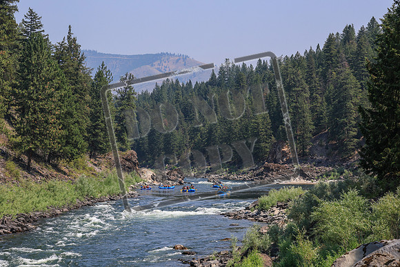 20260731-IMG_2650