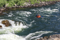 20260731-IMG_3302
