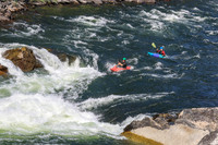 20260731-IMG_4564