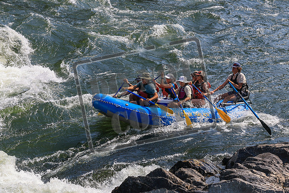 20260731-IMG_1401