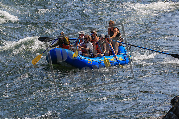 20260731-IMG_1419