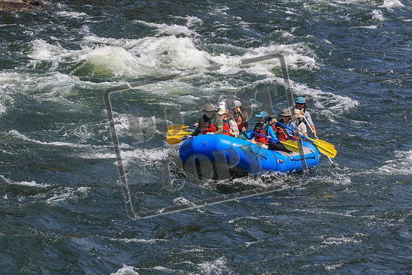 20260731-IMG_3067