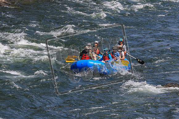 20260731-IMG_3066
