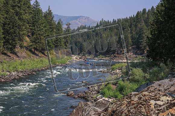 20260731-IMG_3062