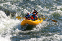 20260731-IMG_1063