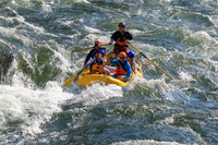 20260731-IMG_1061