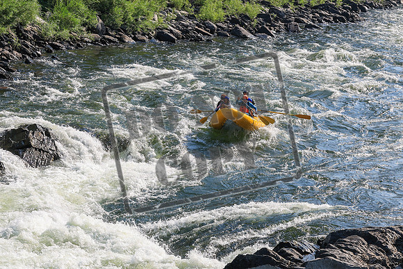 20260731-IMG_1060