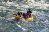 20260731-IMG_1058
