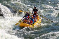 20260731-IMG_1064