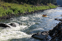 20260731-IMG_1056