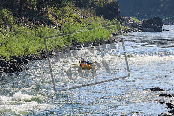 20260731-IMG_1052