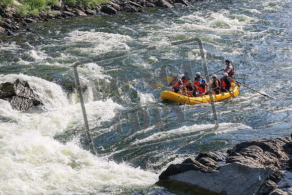 20260731-IMG_1115