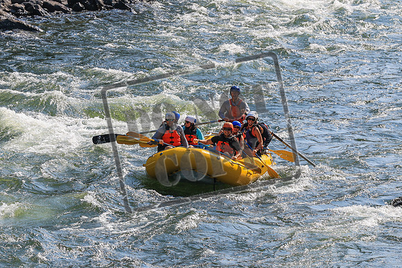 20260731-IMG_1113