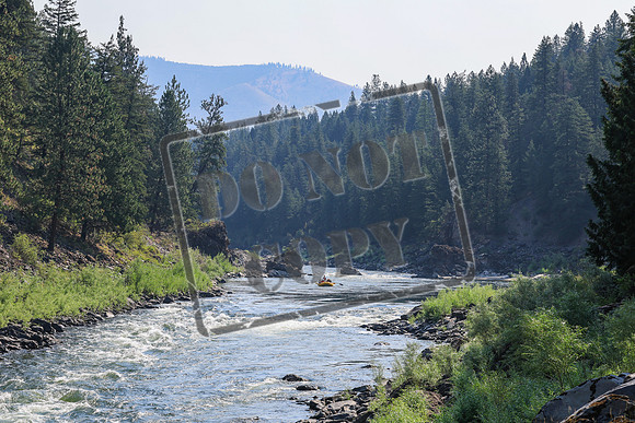 20260731-IMG_1108