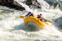 20260731-IMG_1121