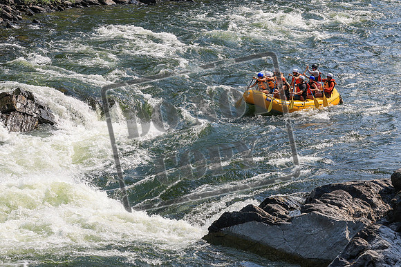 20260731-IMG_1183