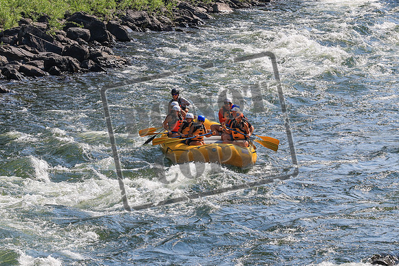 20260731-IMG_1179