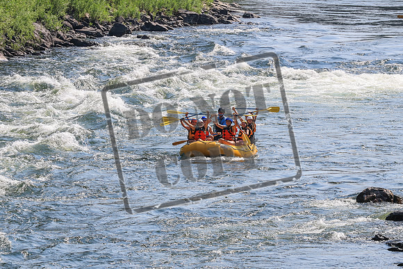 20260731-IMG_1210