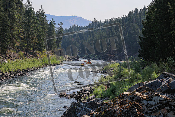 20260731-IMG_1172