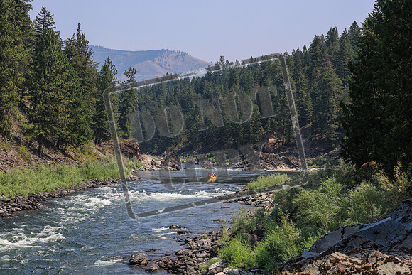 20260731-IMG_2356