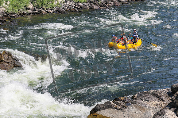 20260731-IMG_2362