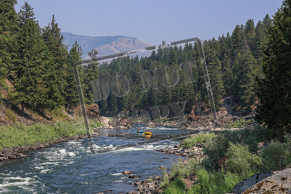 20260731-IMG_3204
